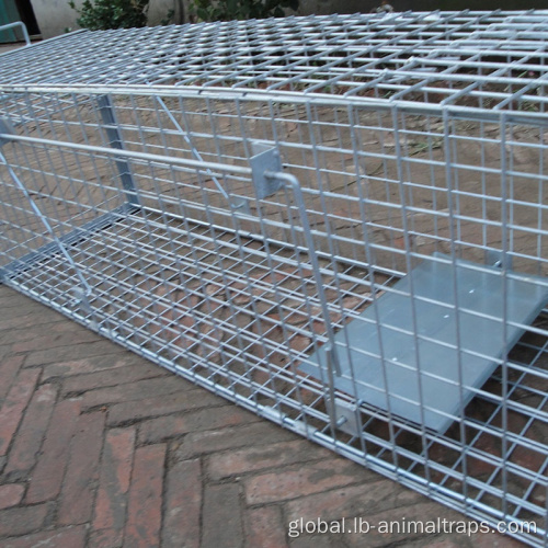 Large Animal Trap Cage humane live animal trap cage animal trap cage Supplier